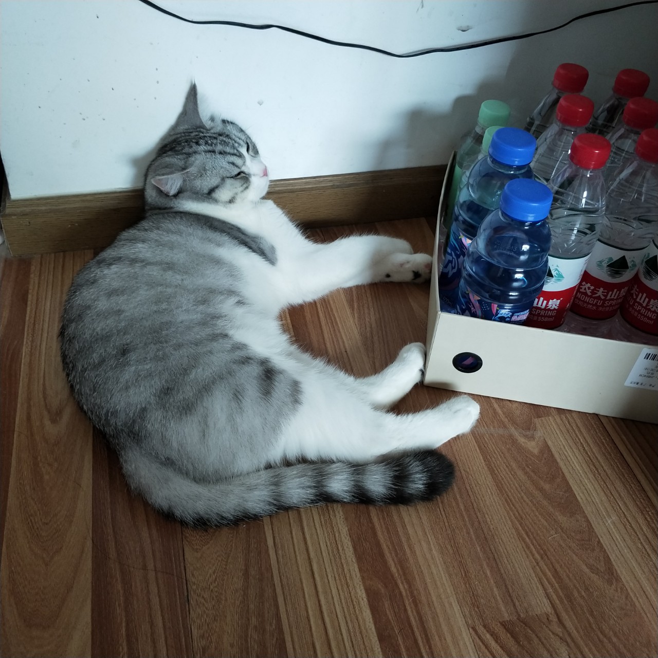 10.jpg