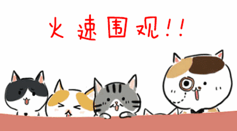 2.gif
